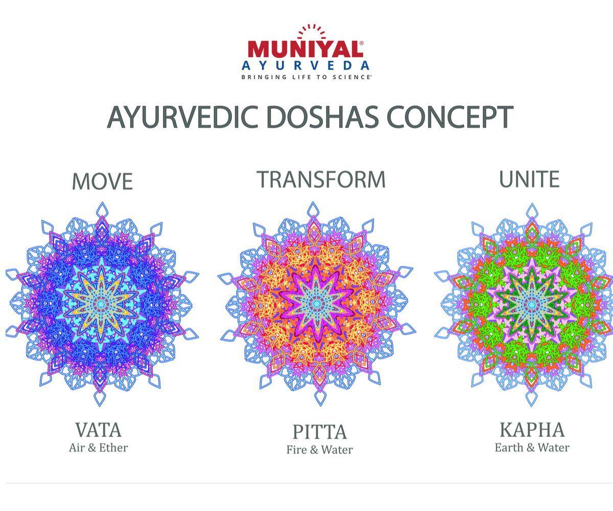 Learn About The Different Body Types Defined In Ayurveda