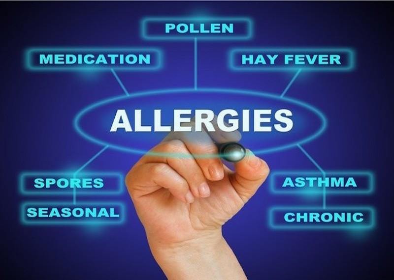 Ayurveda for Prevention and Treatment of Allergies