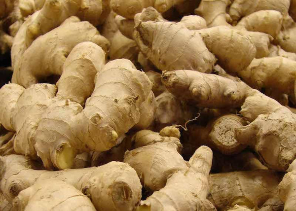 Miraculous Healing Properties Of Ginger In Ayurveda