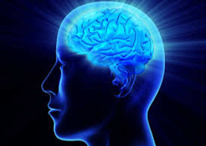 Ayurvedic Herbs For Empowering And Enhancing Your Brain Power