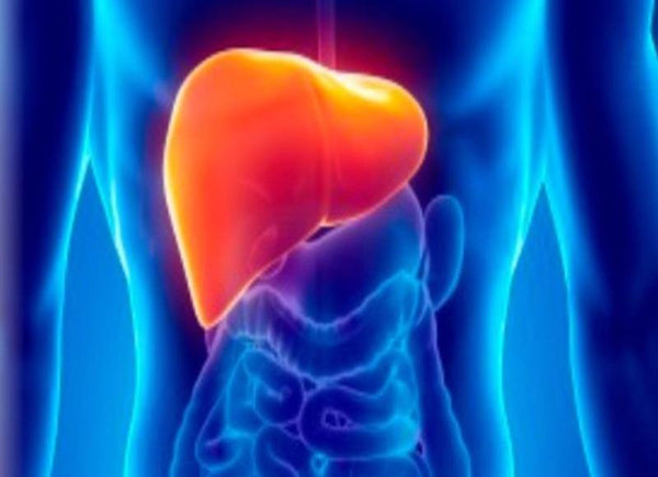 Benefits of Choosing Ayurveda for a Happy and Healthy Liver